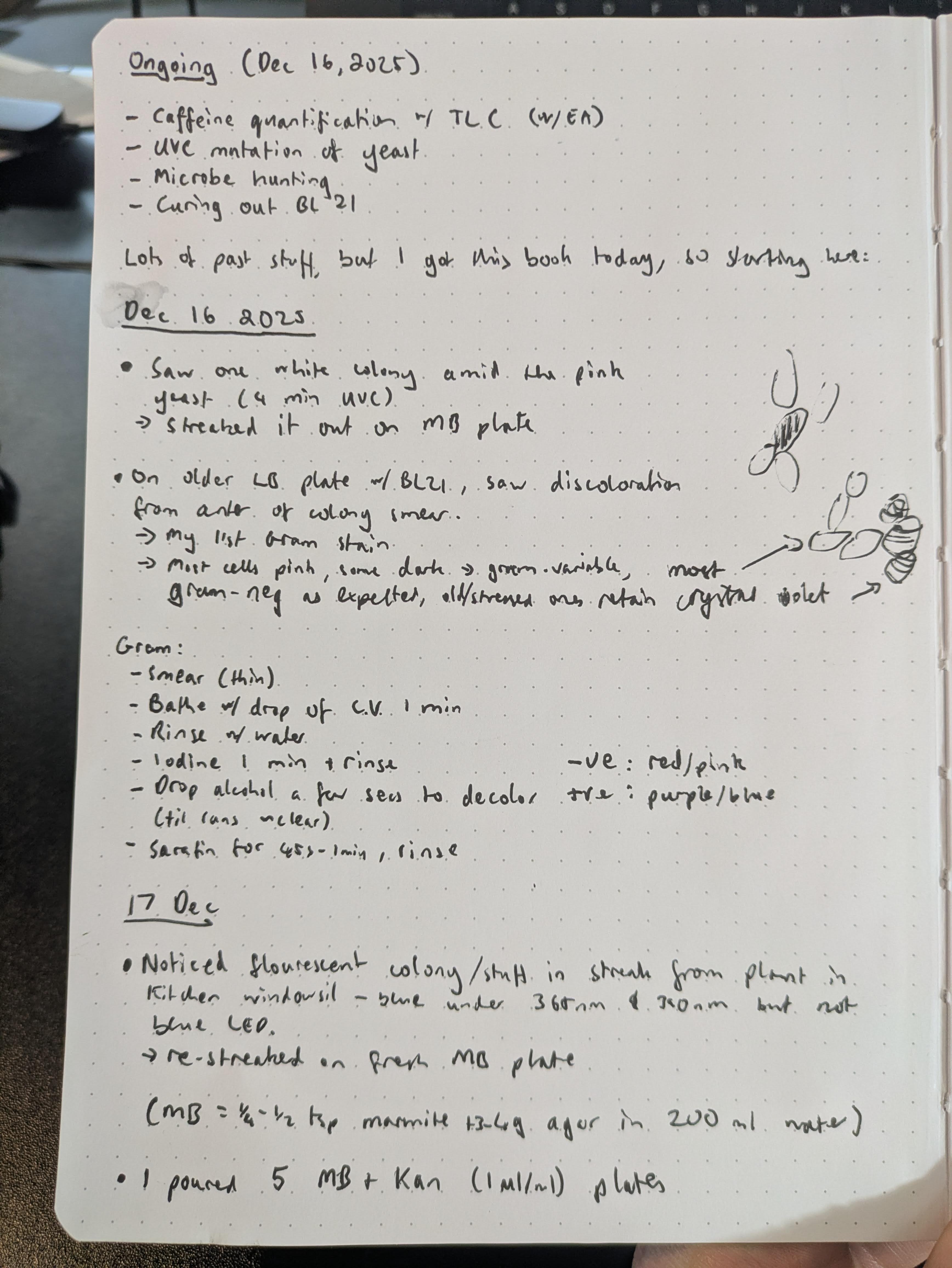 Notebook page for 2025-12-16