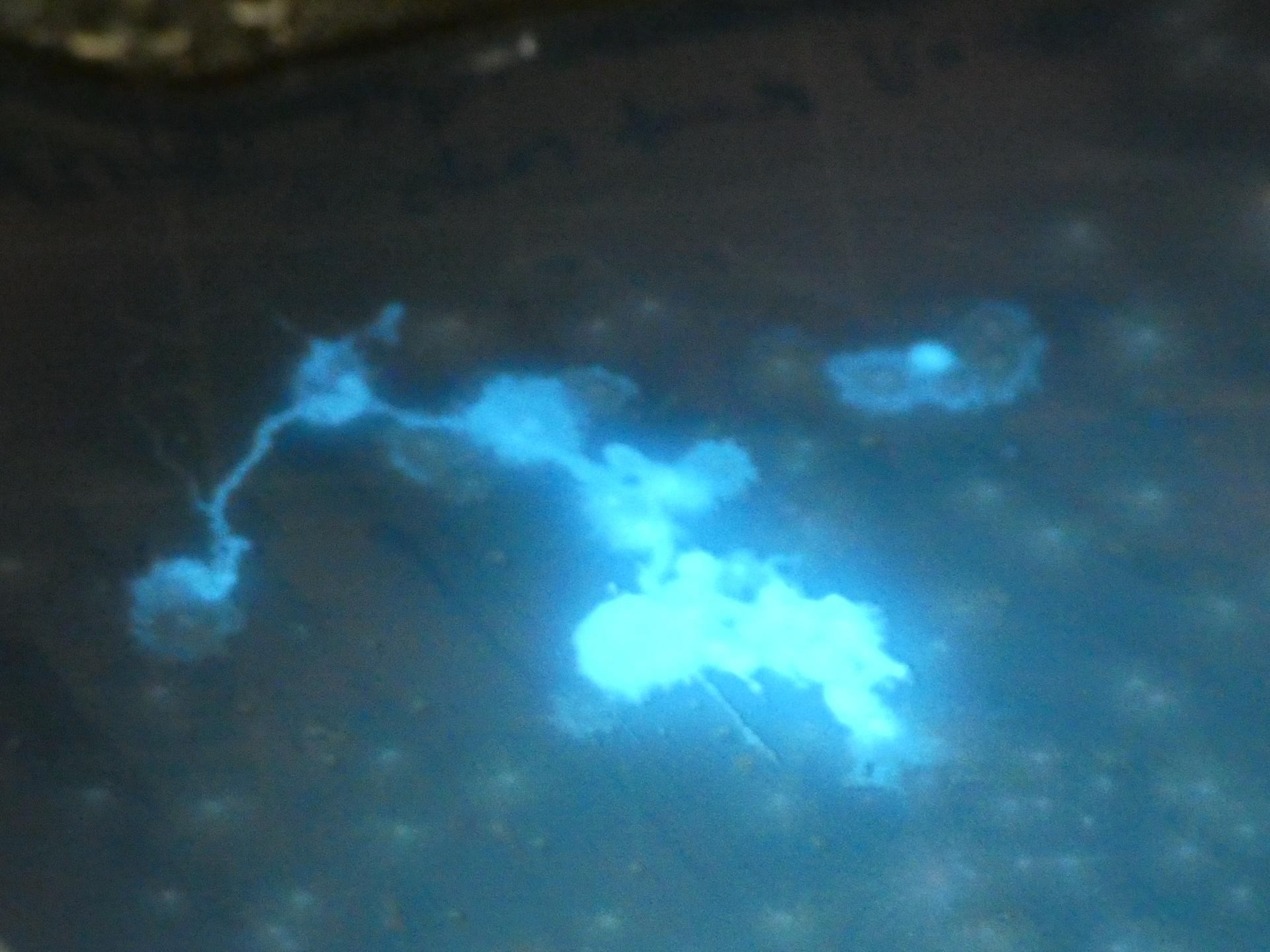 Under UV