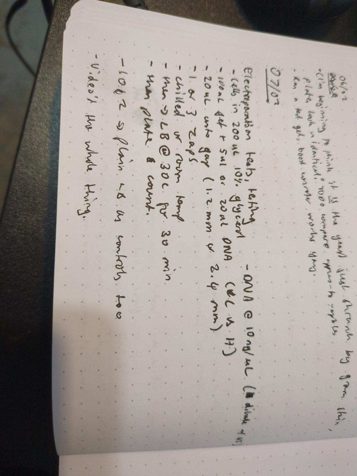 Notebook page for 2026-02-08
