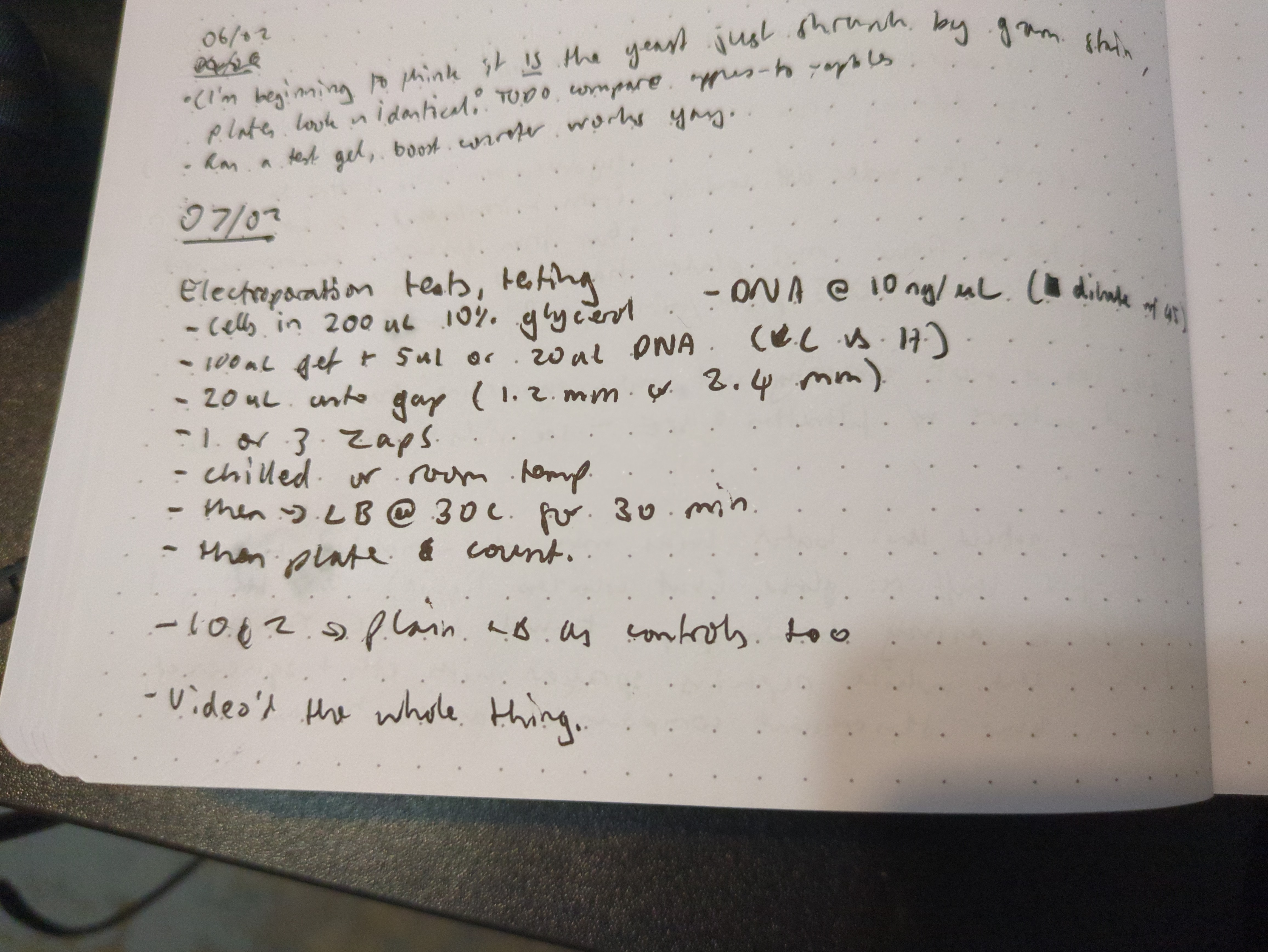 Notebook page for 2026-02-08