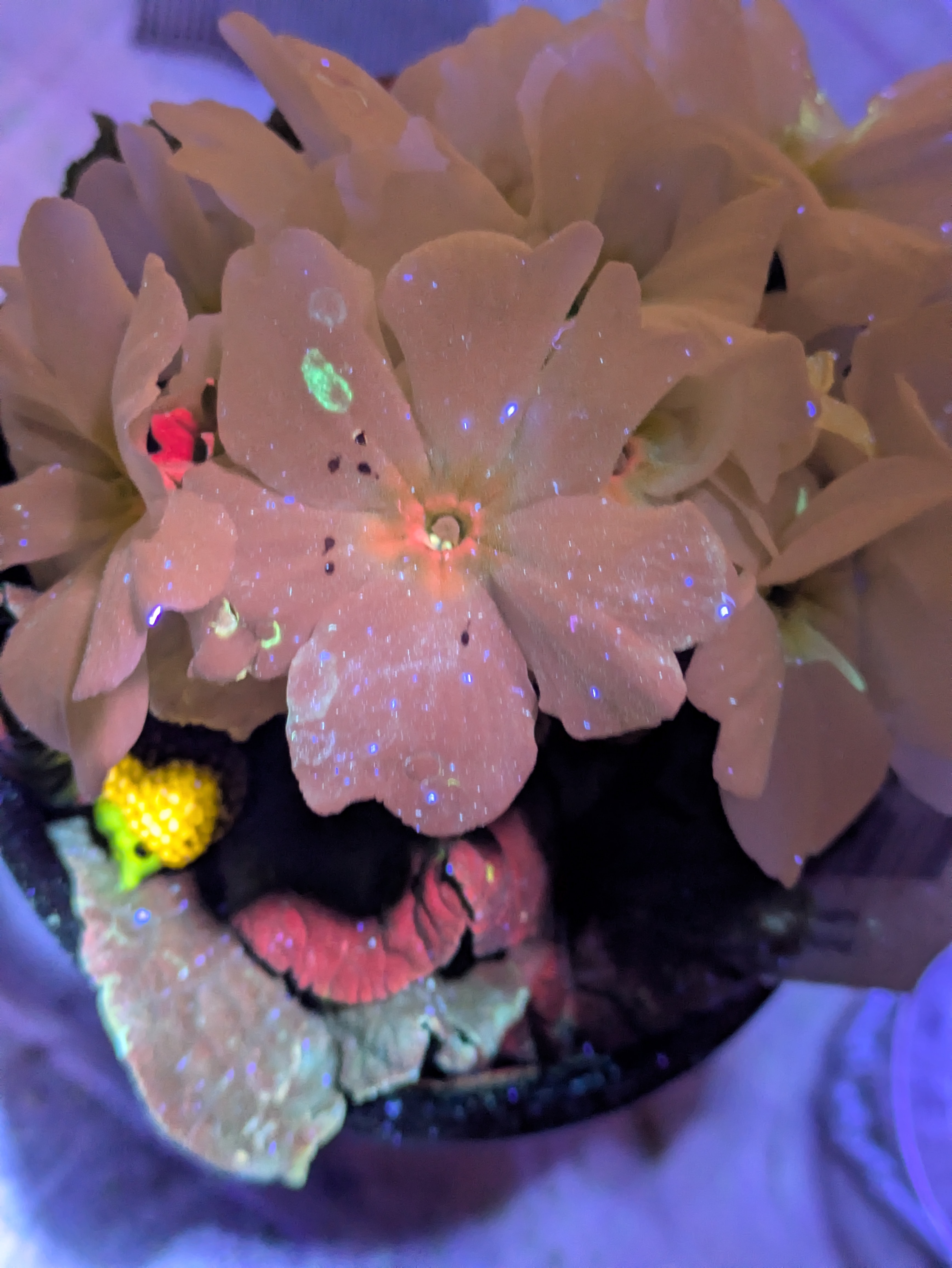 Even ... Where mix just sat has now got glow