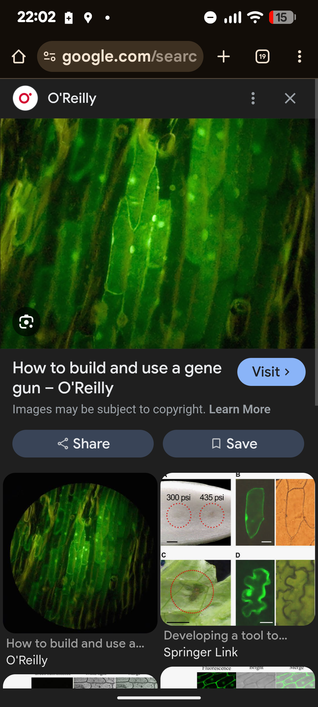 gene gun article image (screenshot)