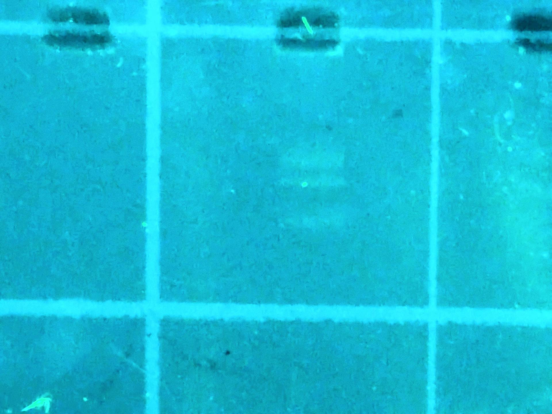 Experiment photo