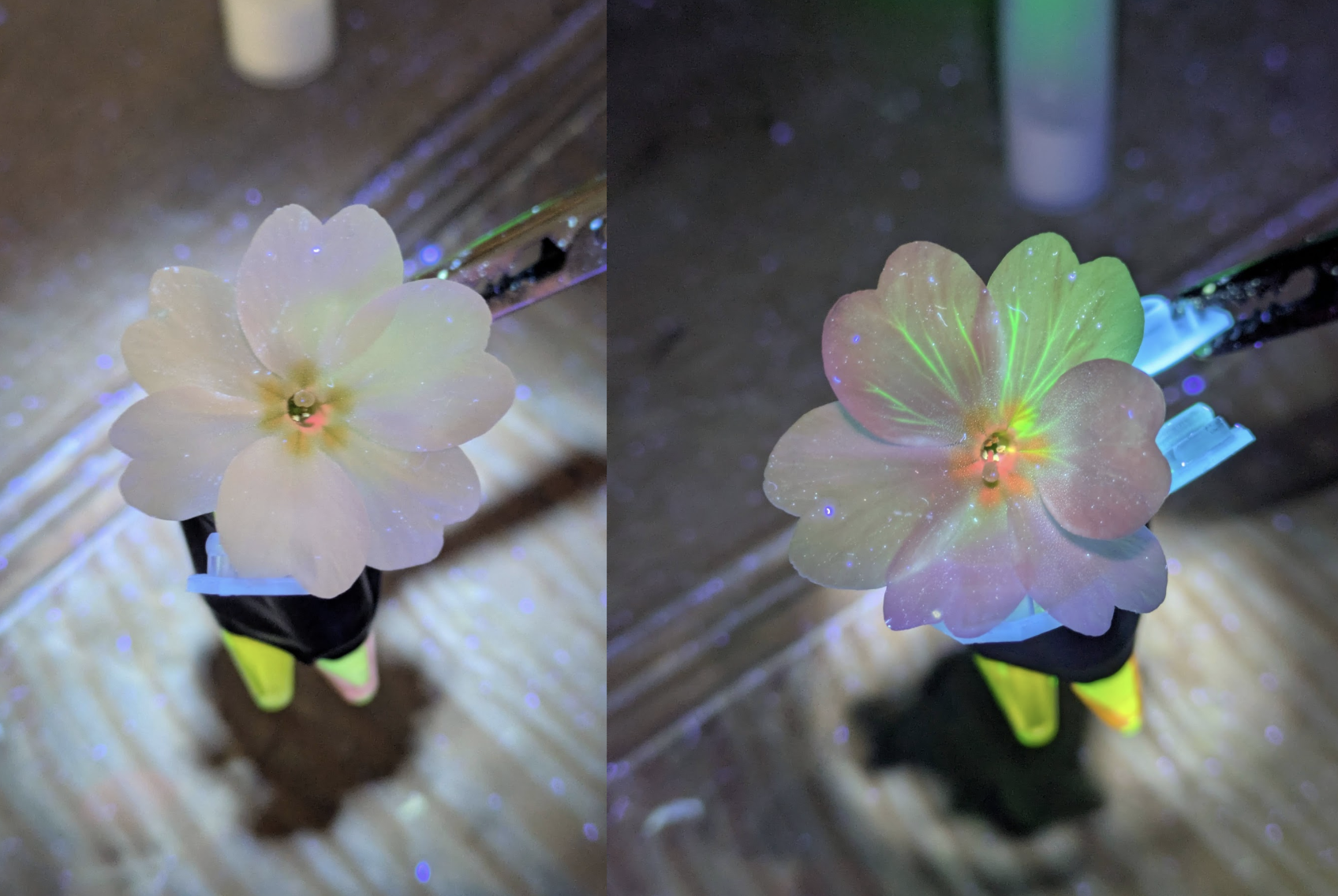 Notebook page for 2026-02-19