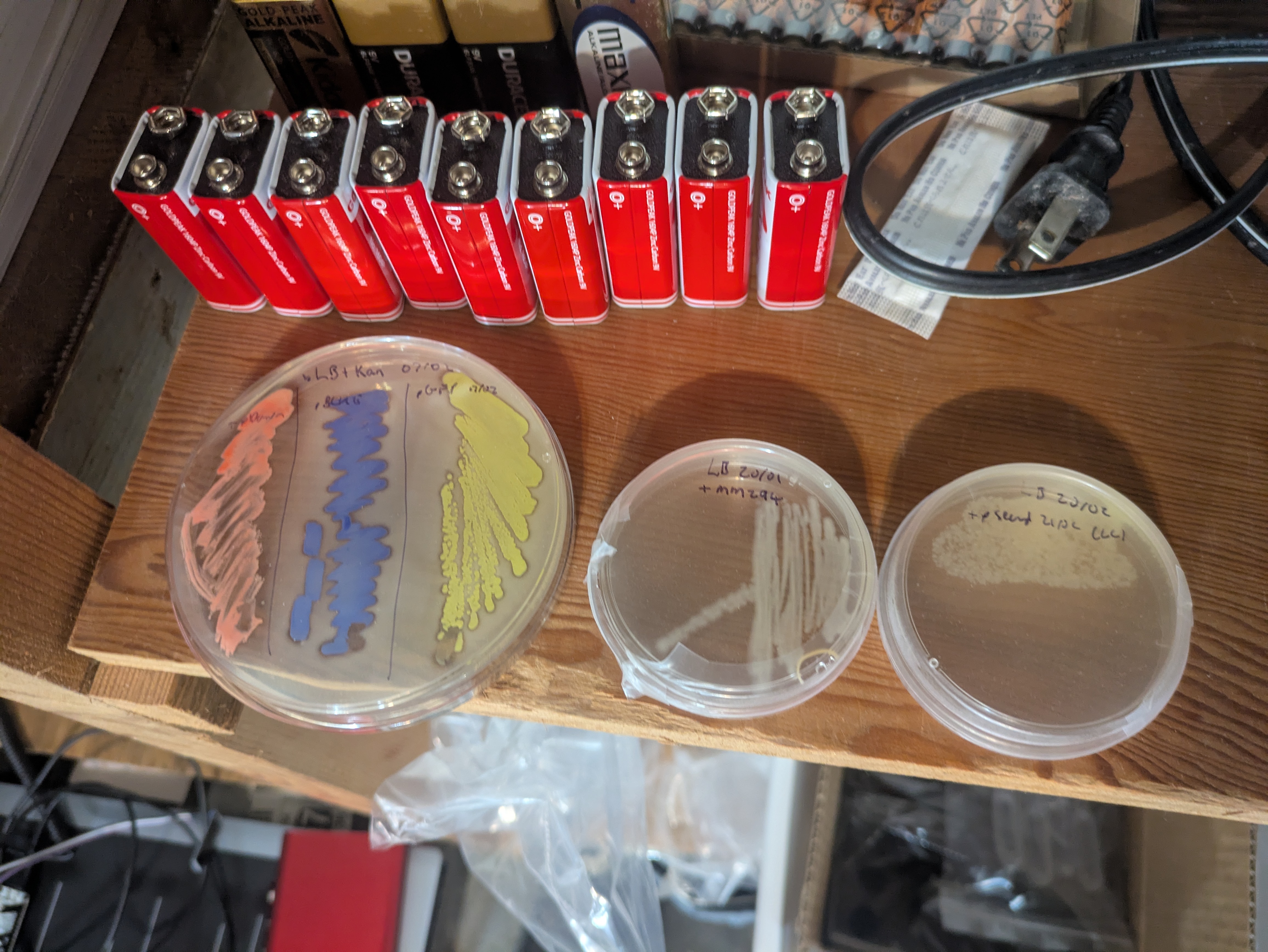 Pseud right grew fine with 2.4mm LB recovery