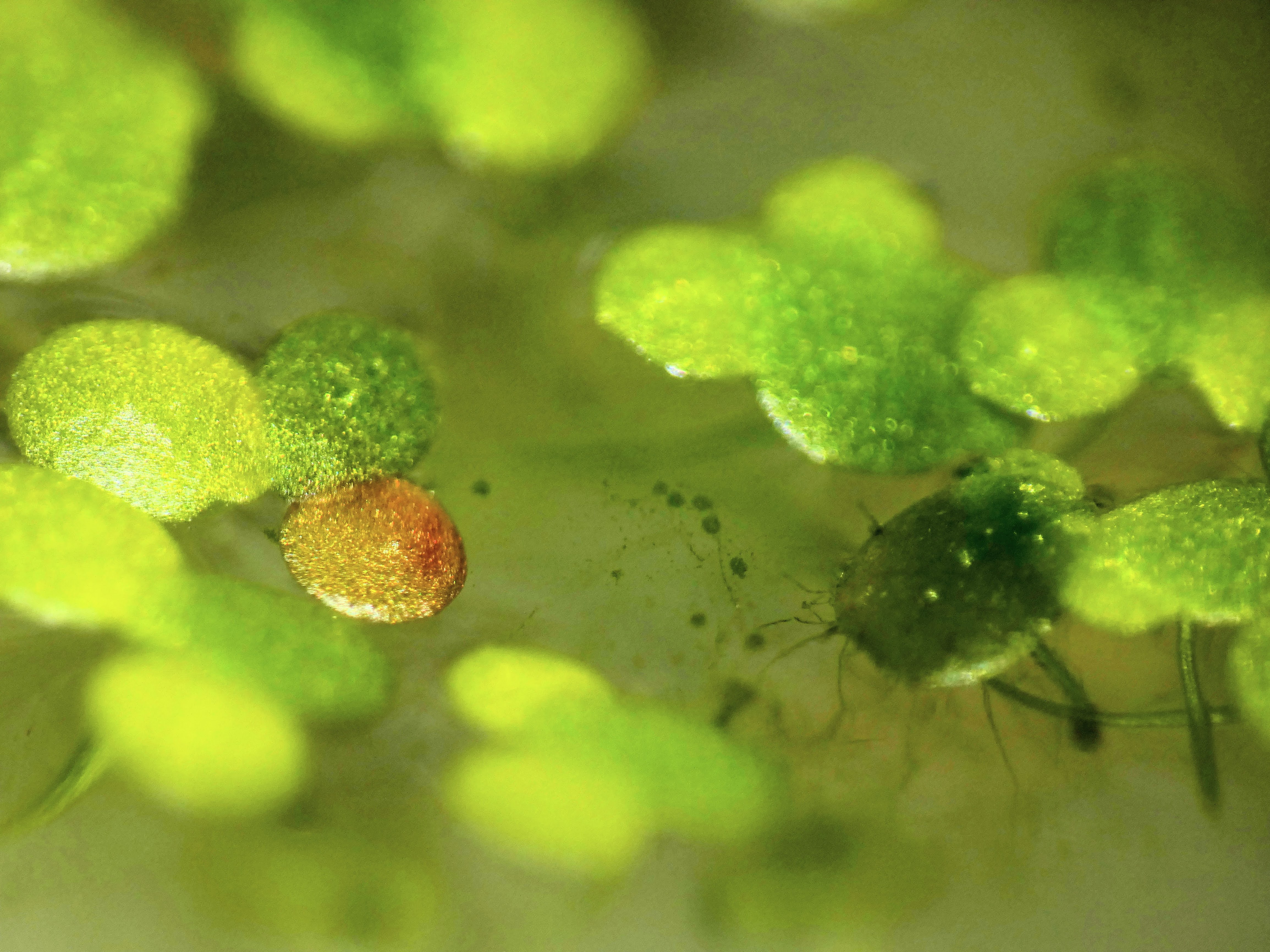 Notebook page for 2026-03-03