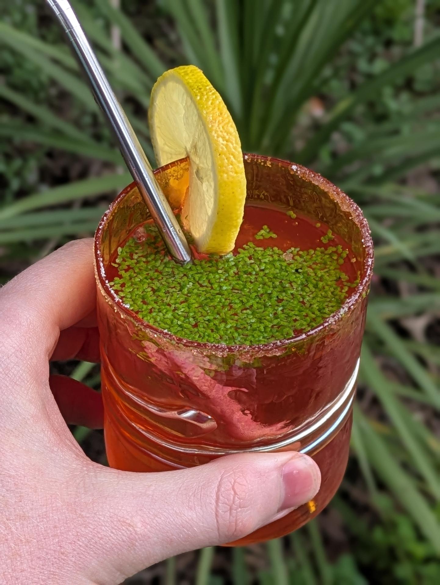 I dream of a cocktail with modded duckweed that actually tastes like something.