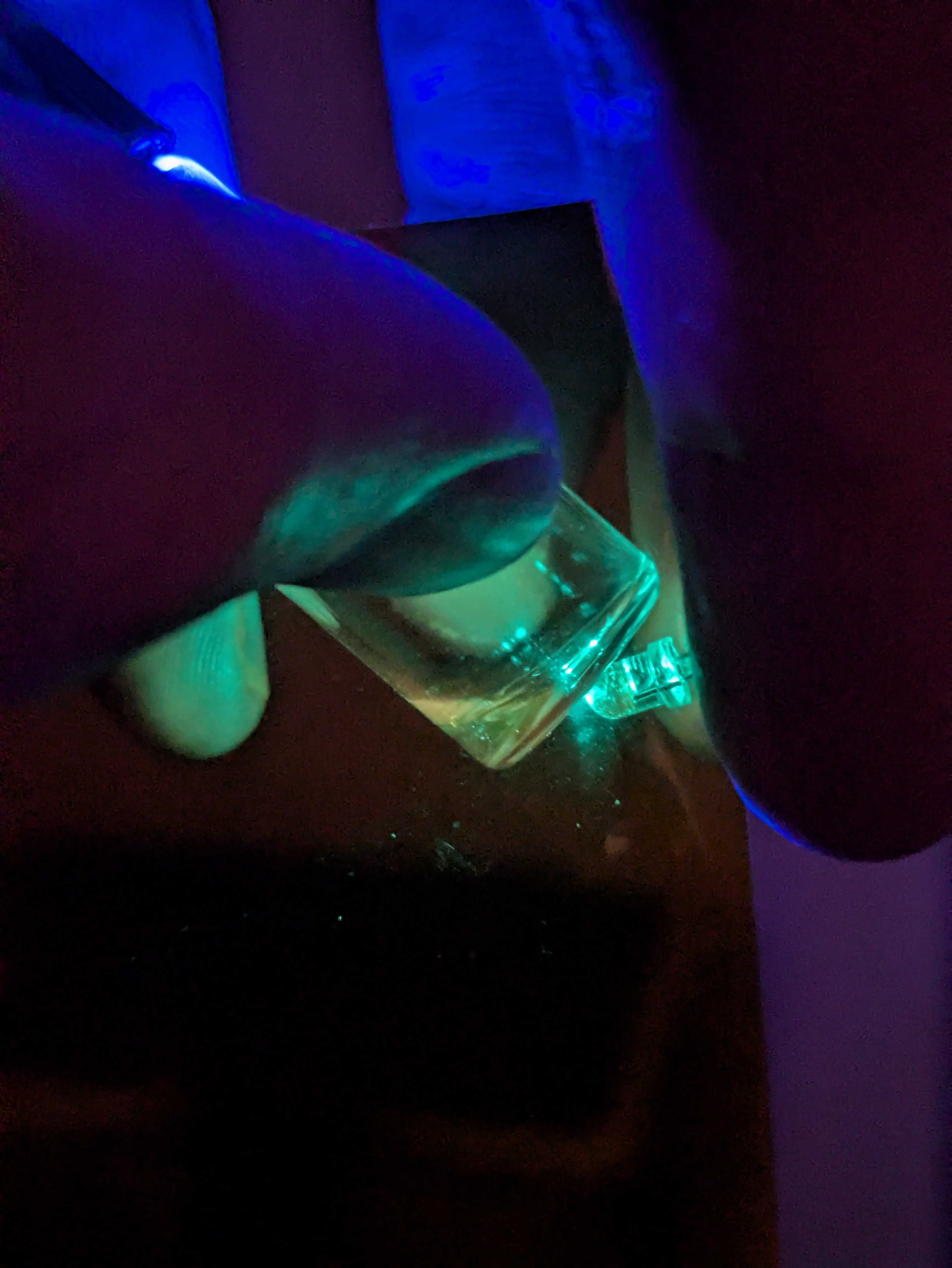 DNA stain + 2ul of the miniprep result, but of glow?