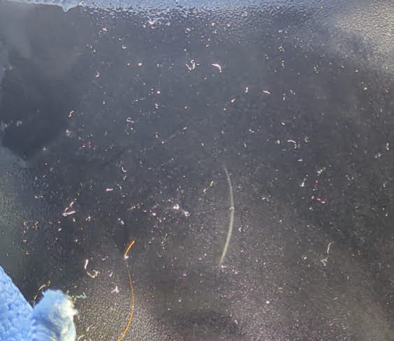 Particle trail (curved due to air motion)