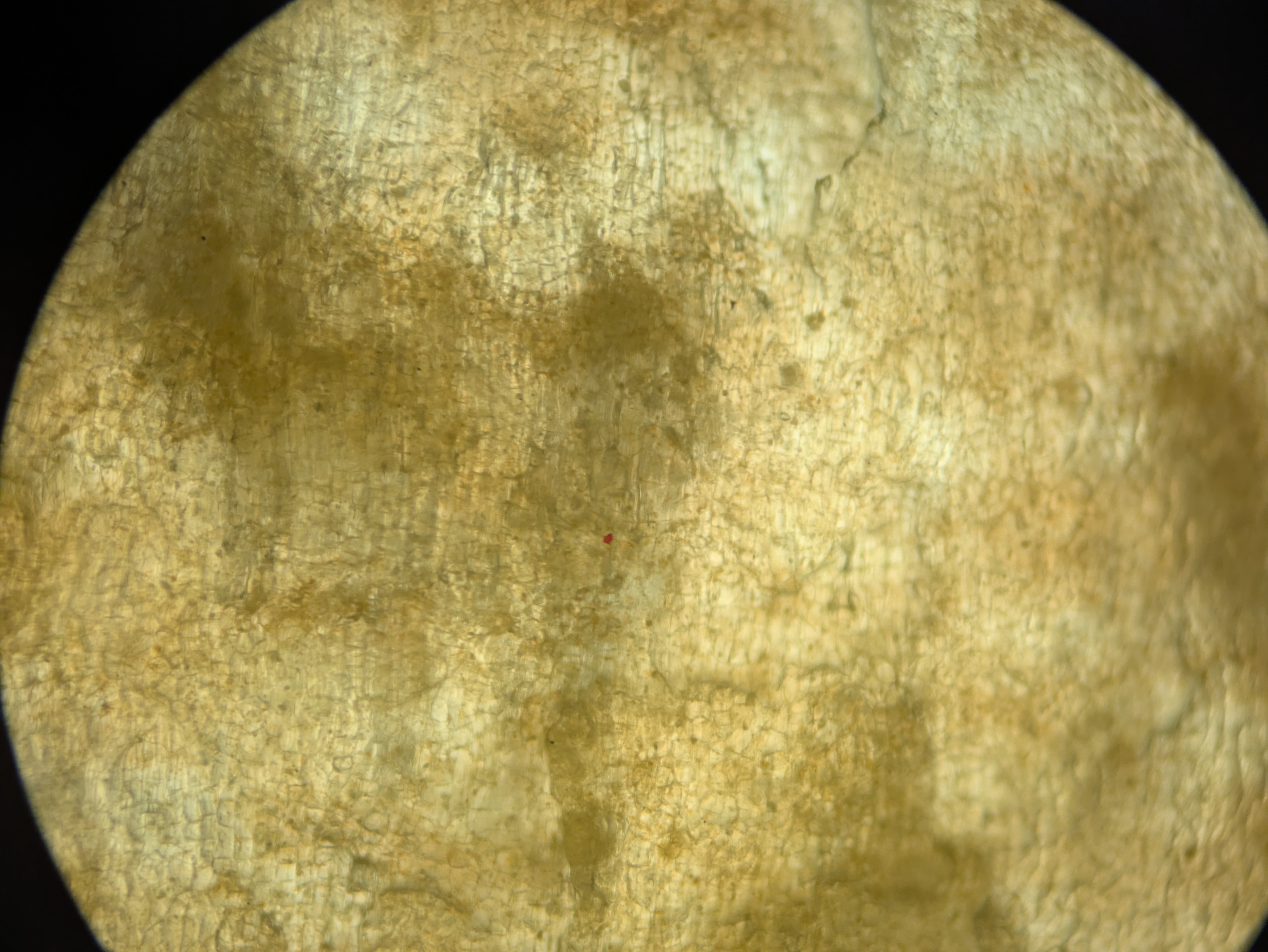 Experiment photo