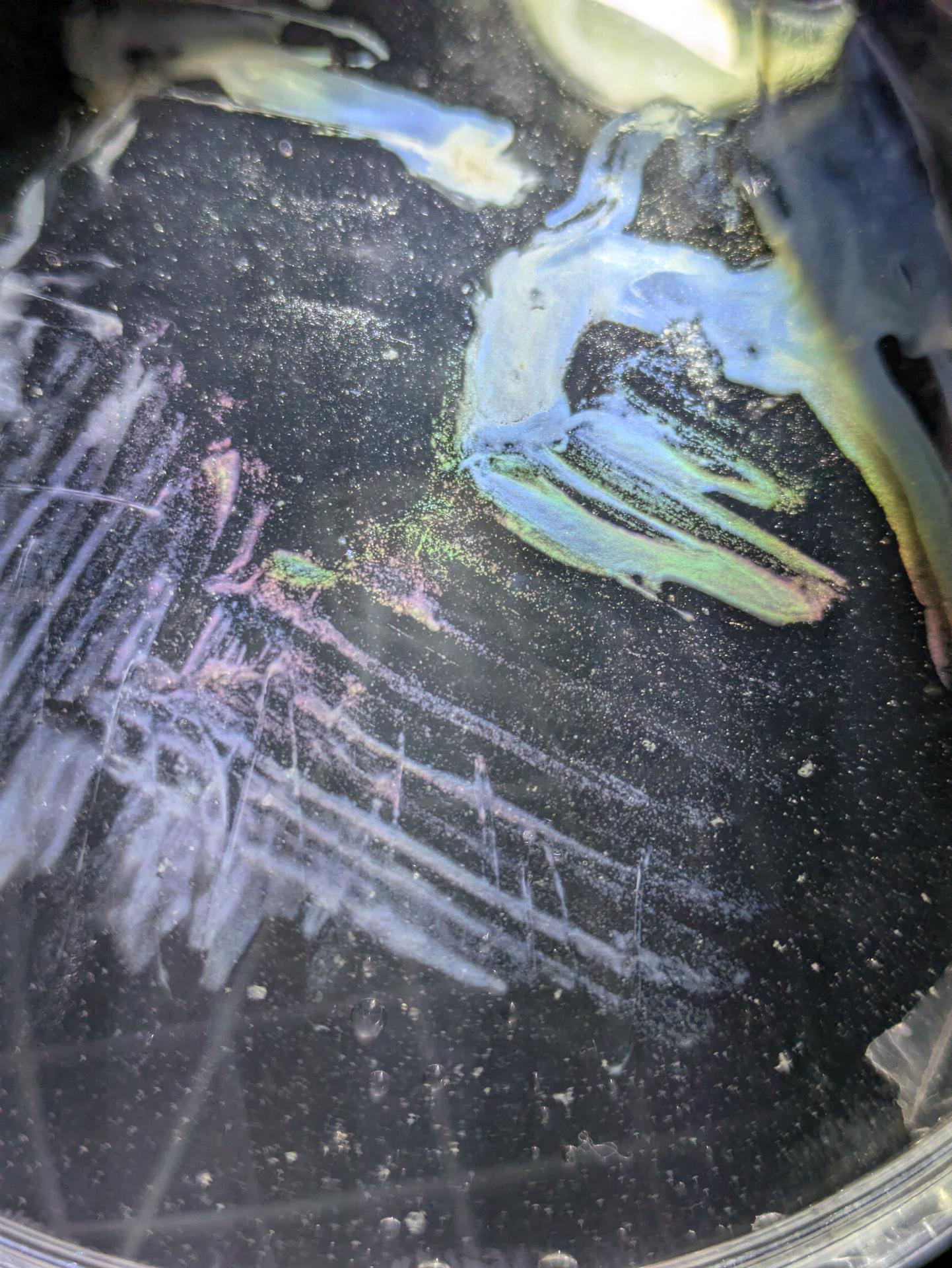 Experiment photo