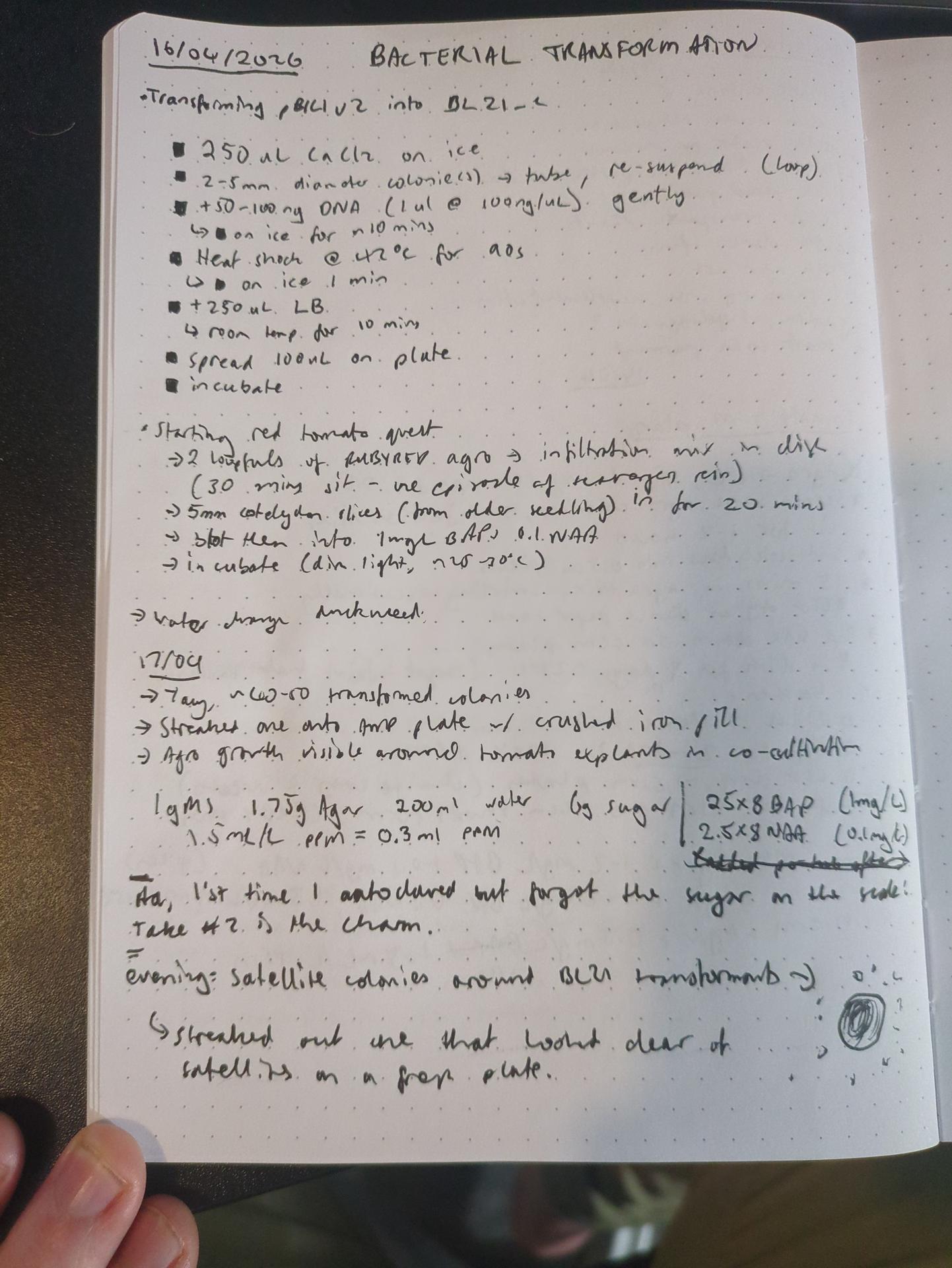 Notebook page for 2026-04-18