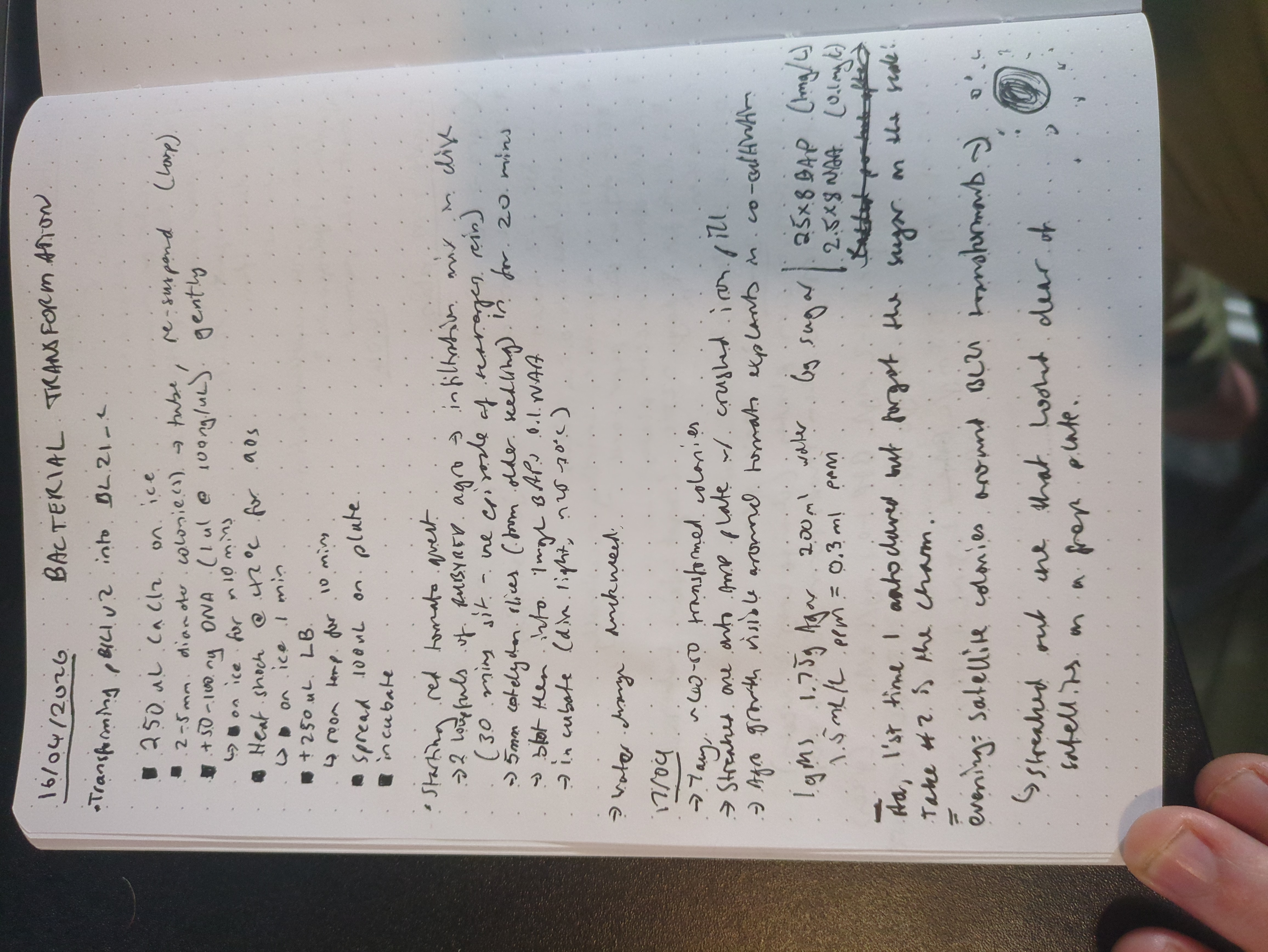 Notebook page for 2026-04-18