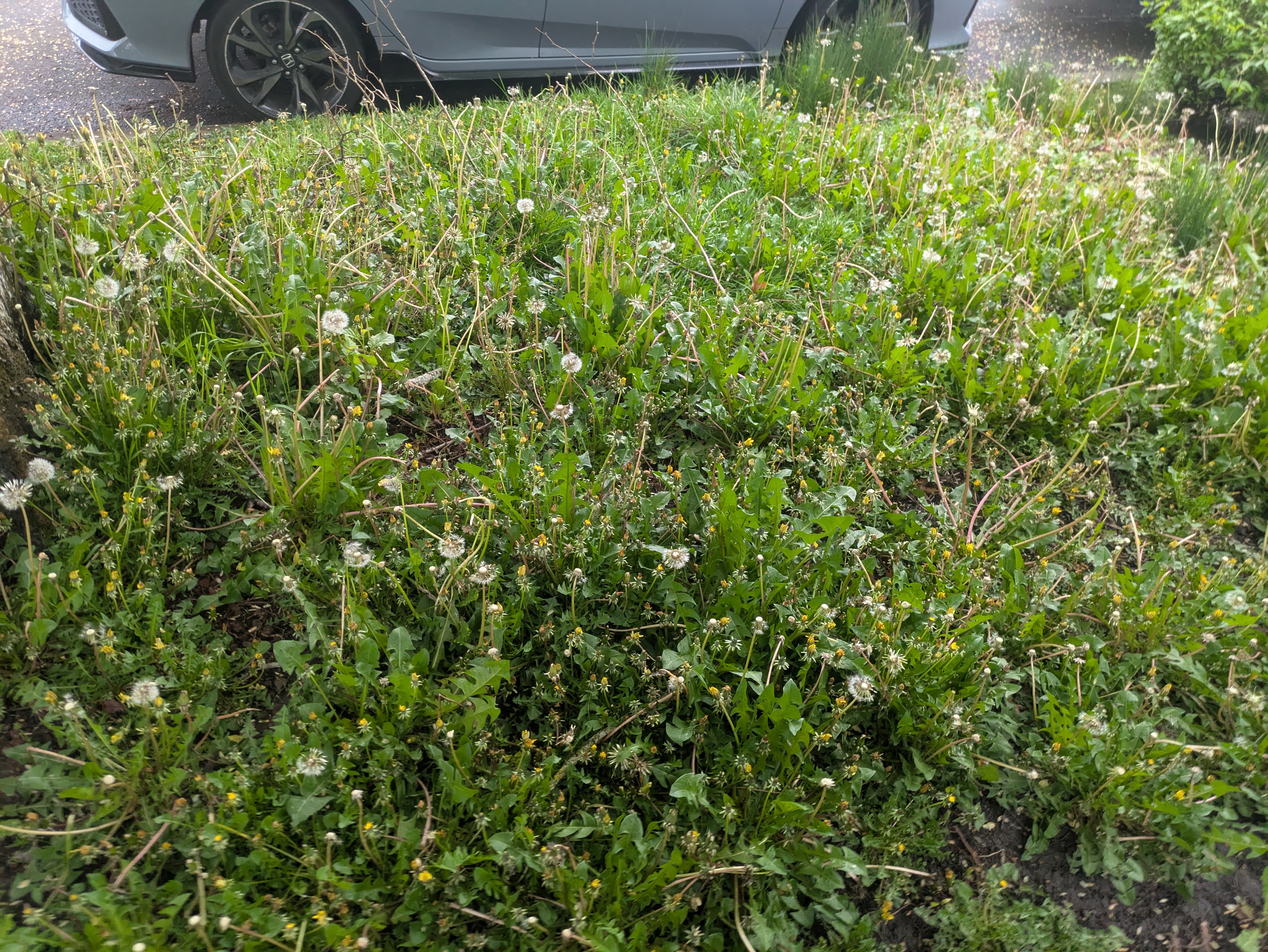 Experiment photo