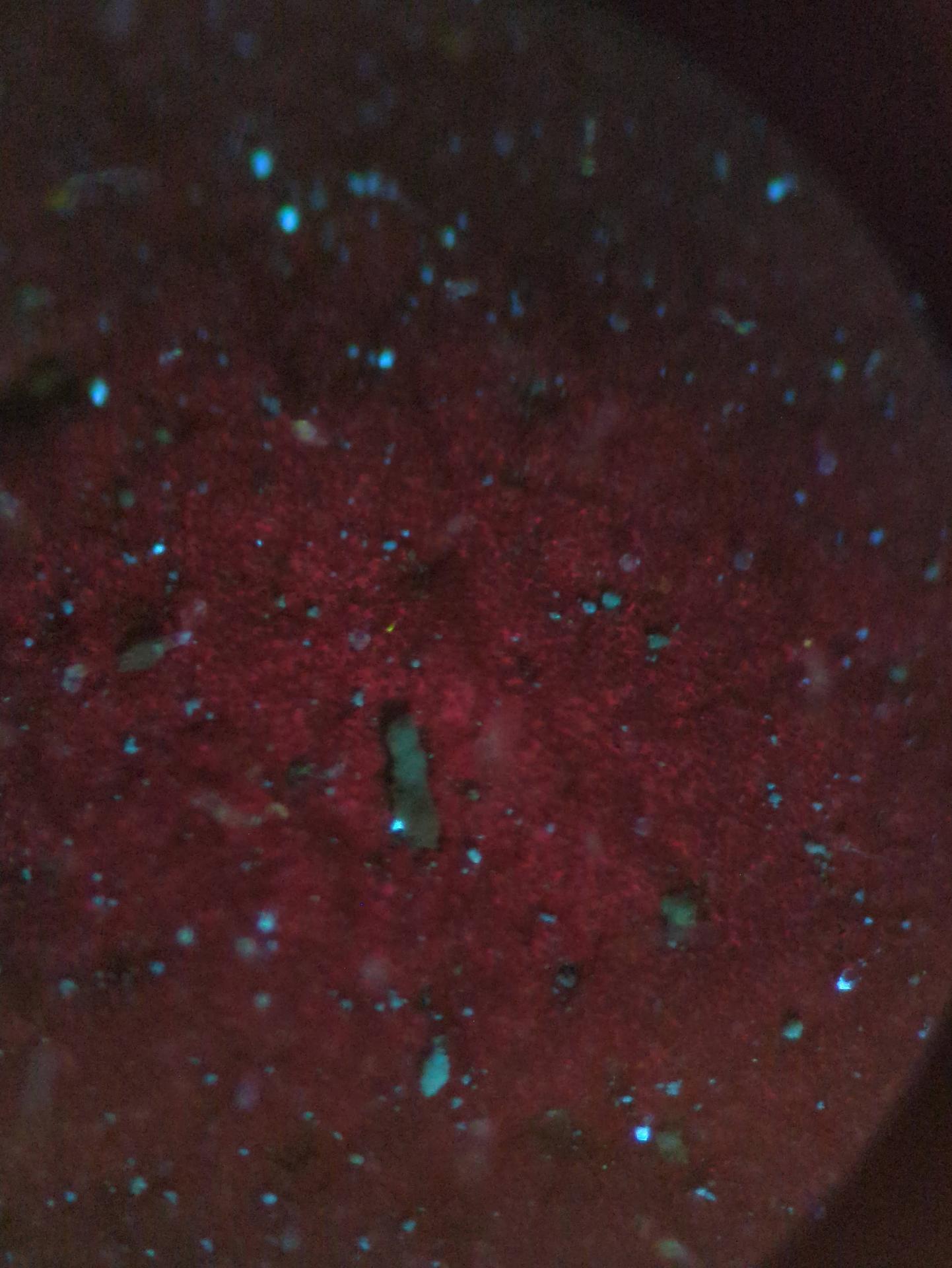 tobacco, think blue is mostly other junk (was there in -ve DNA test too) but yellow-green bits might be tfm?