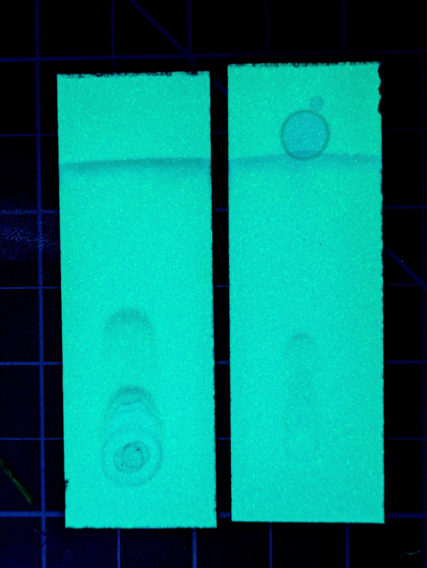 Experiment photo