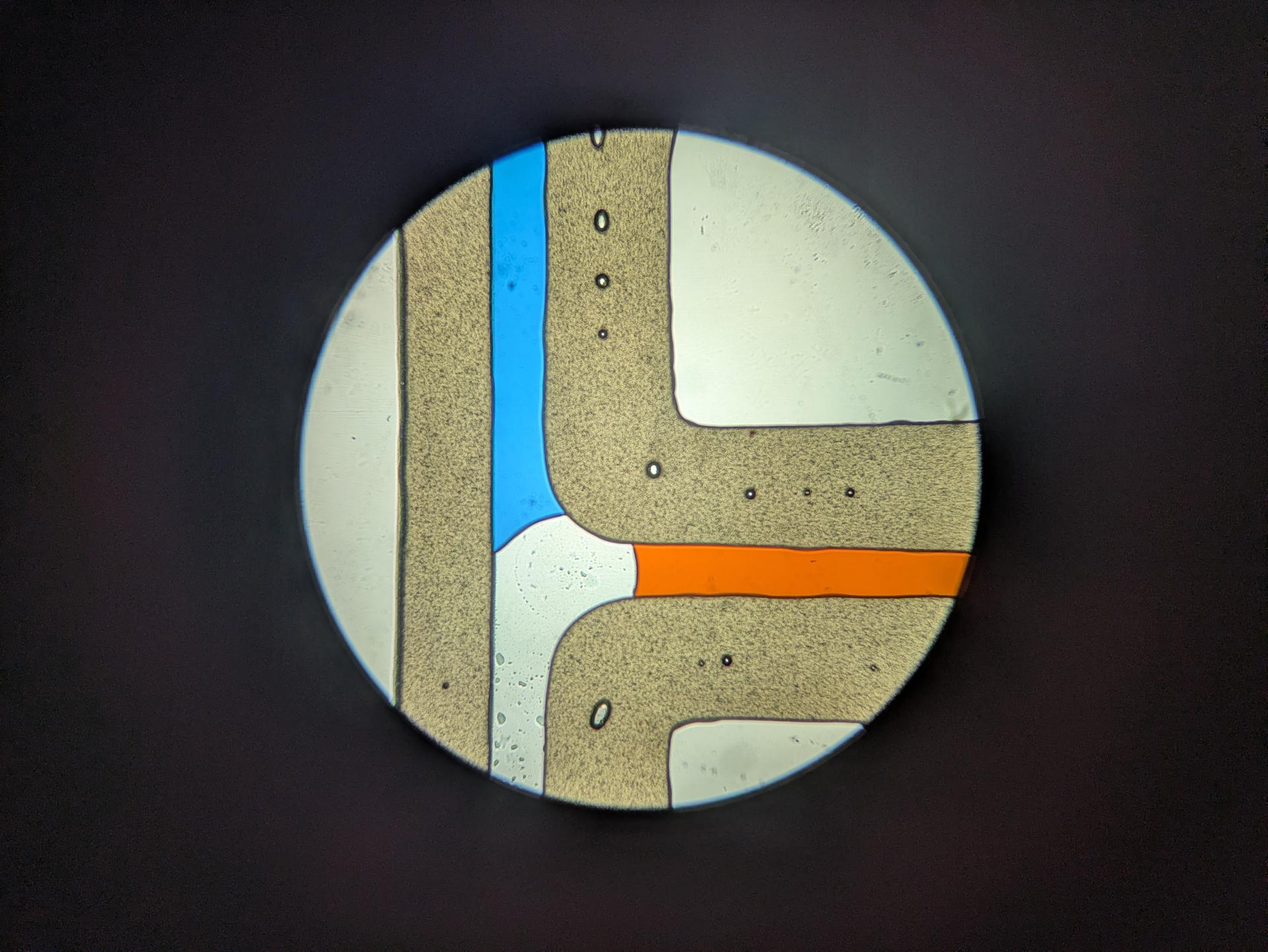 Experiment photo