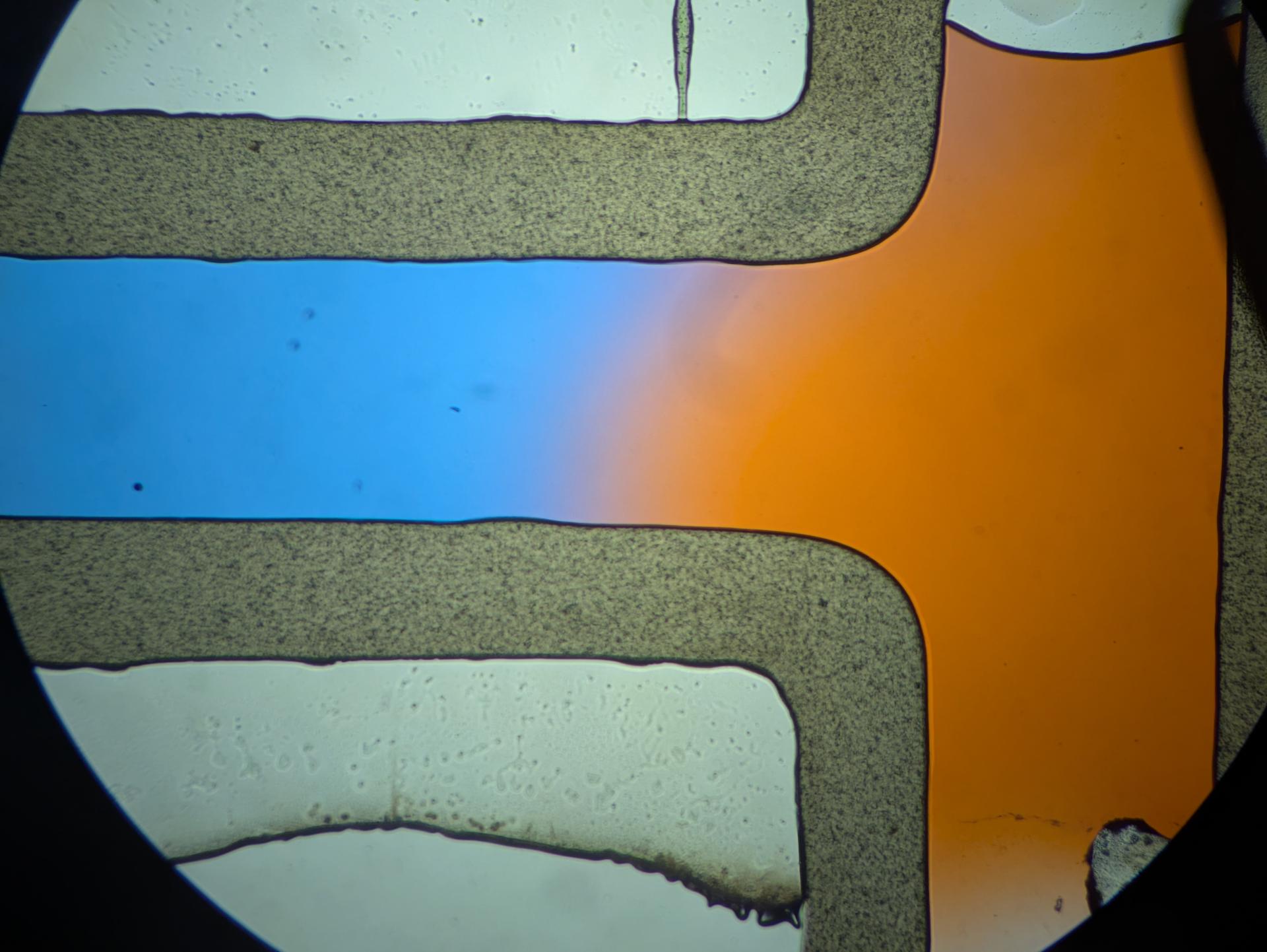 Experiment photo