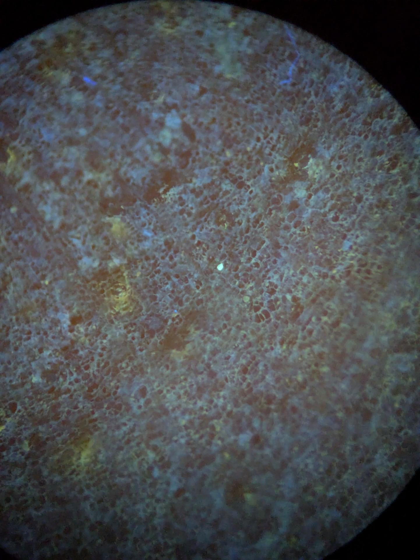 Experiment photo