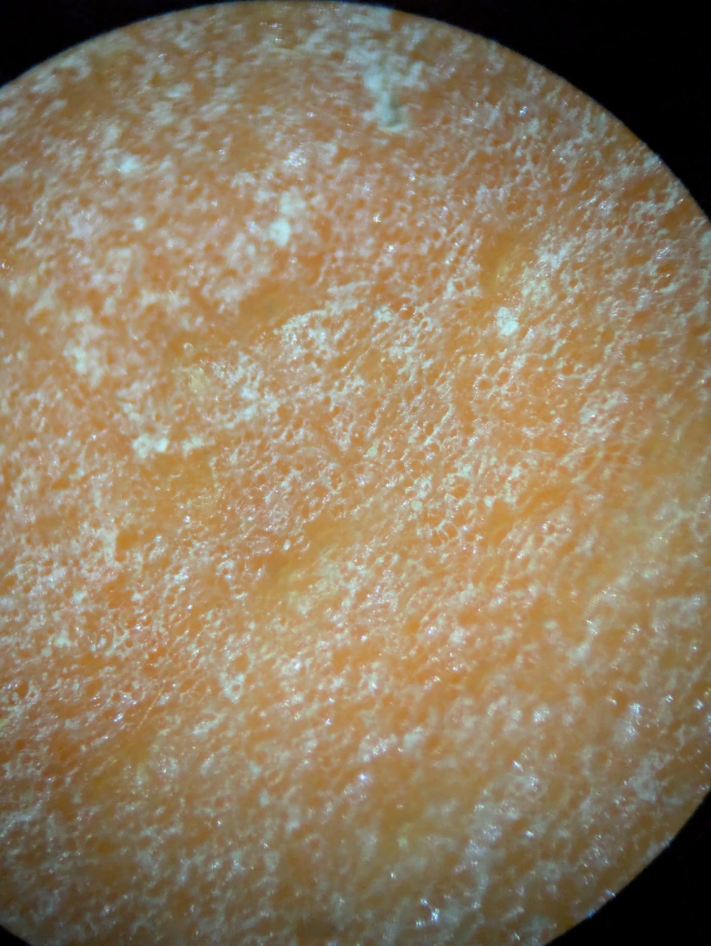 Experiment photo
