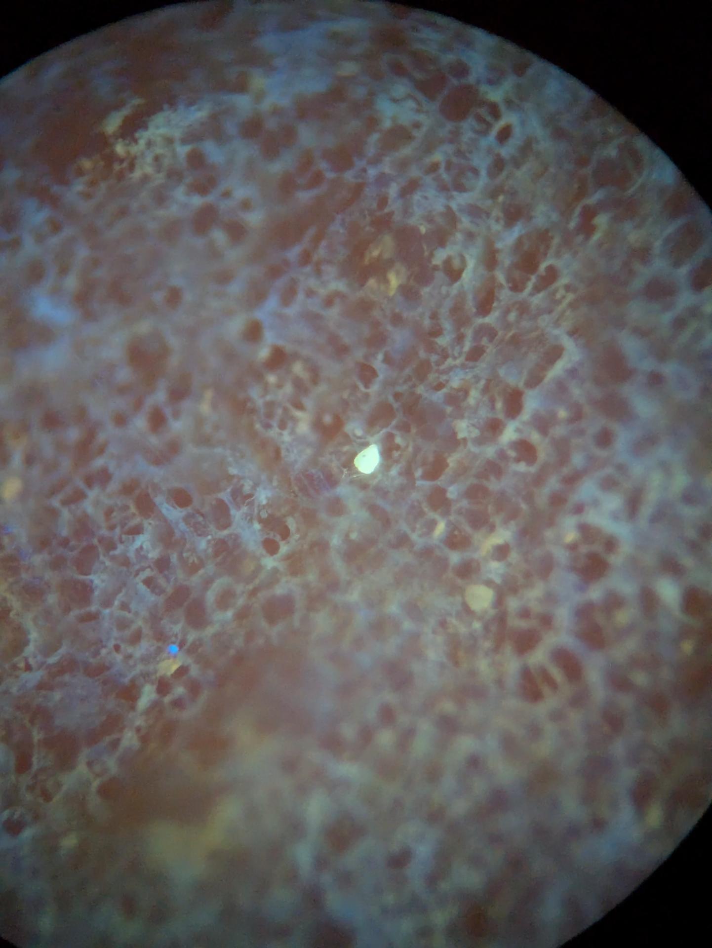 Experiment photo