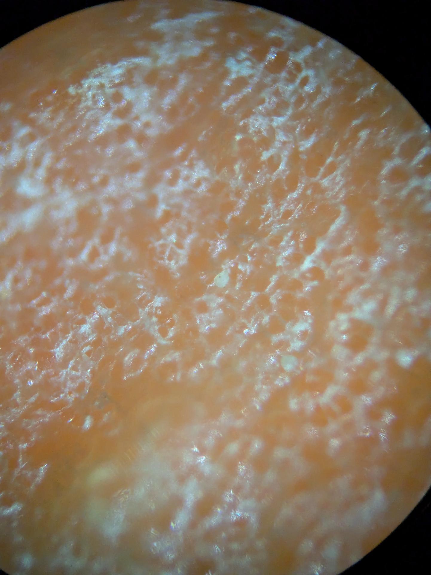 Experiment photo