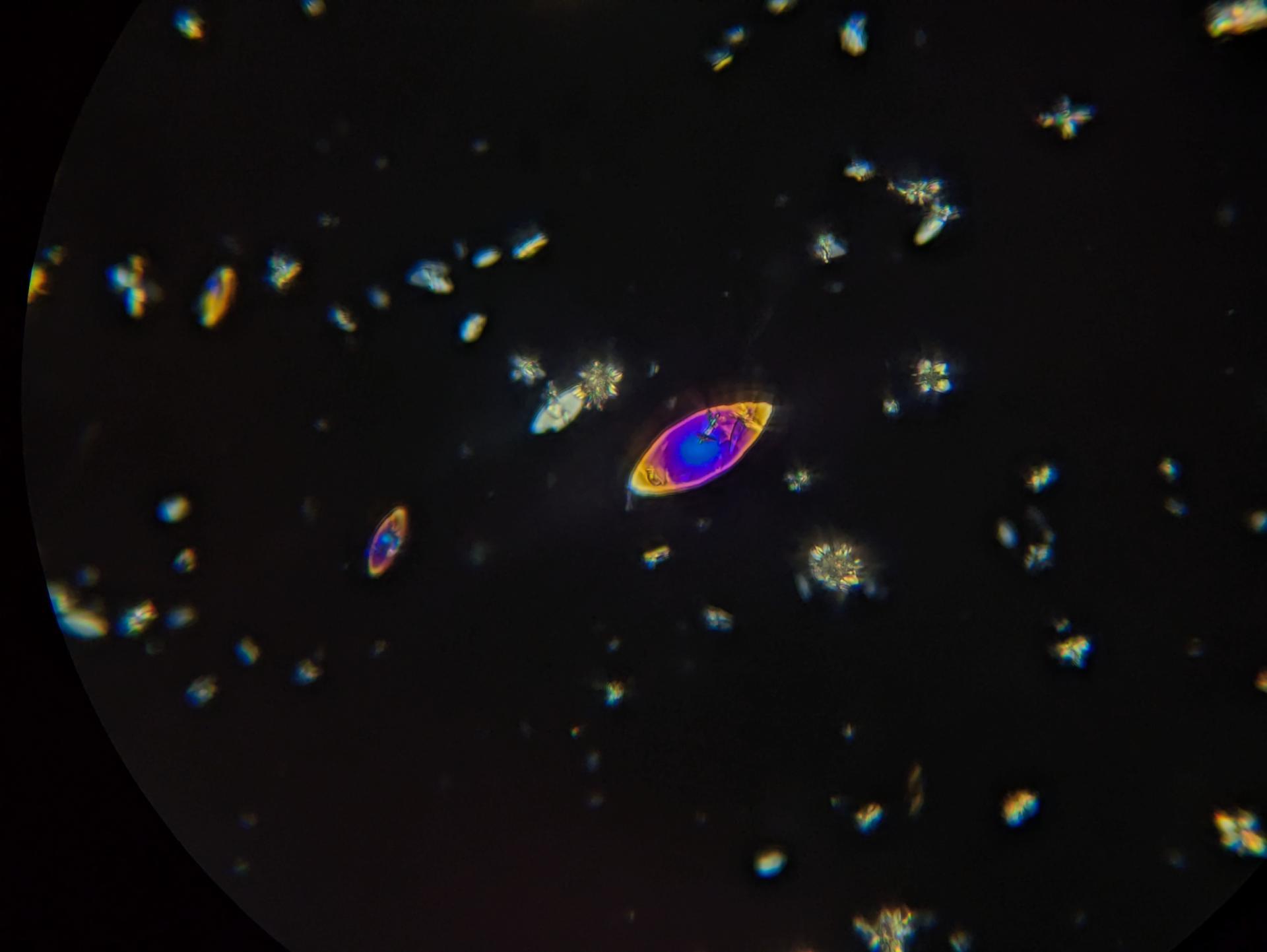 Experiment photo
