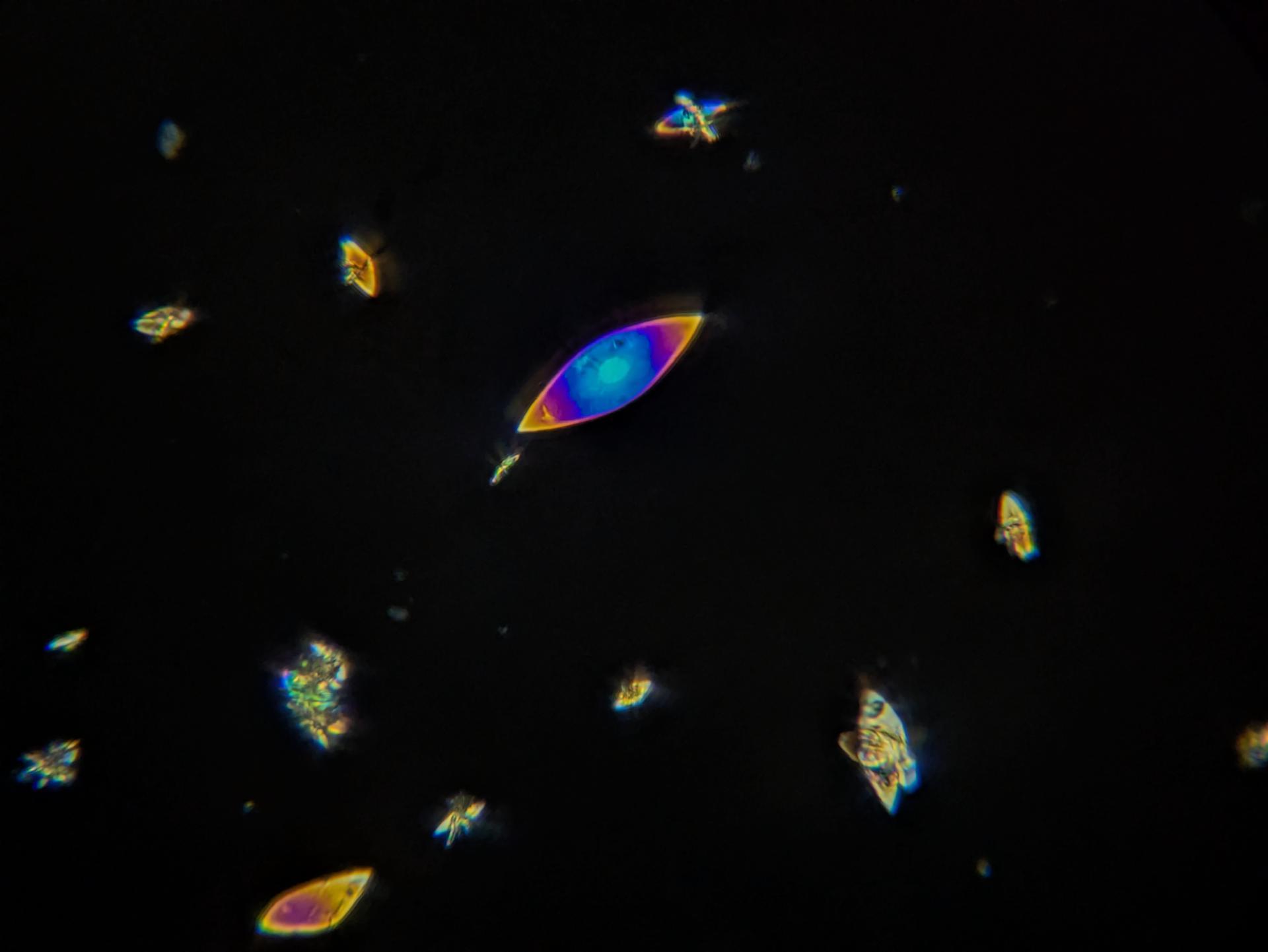 Experiment photo