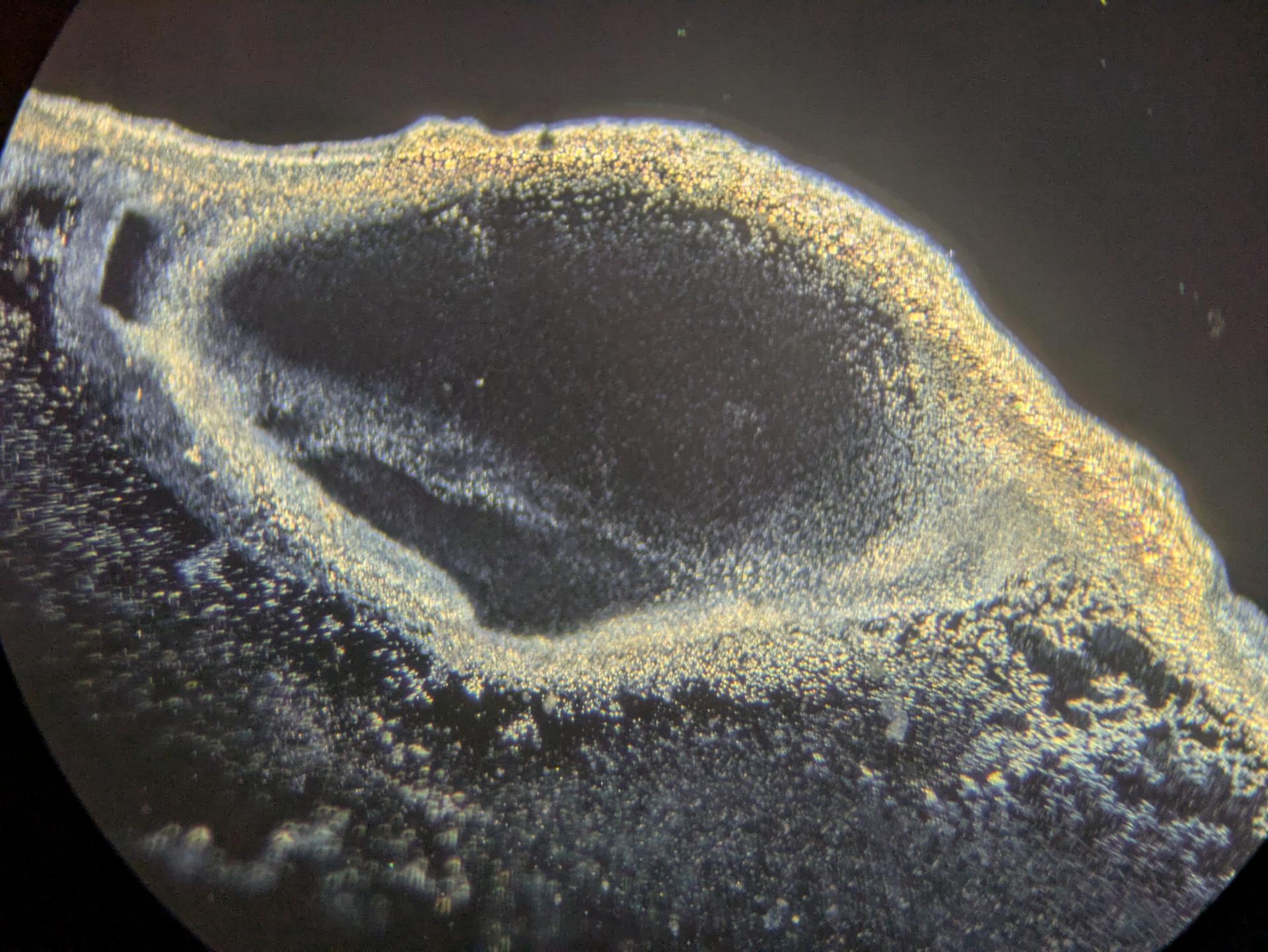 Experiment photo