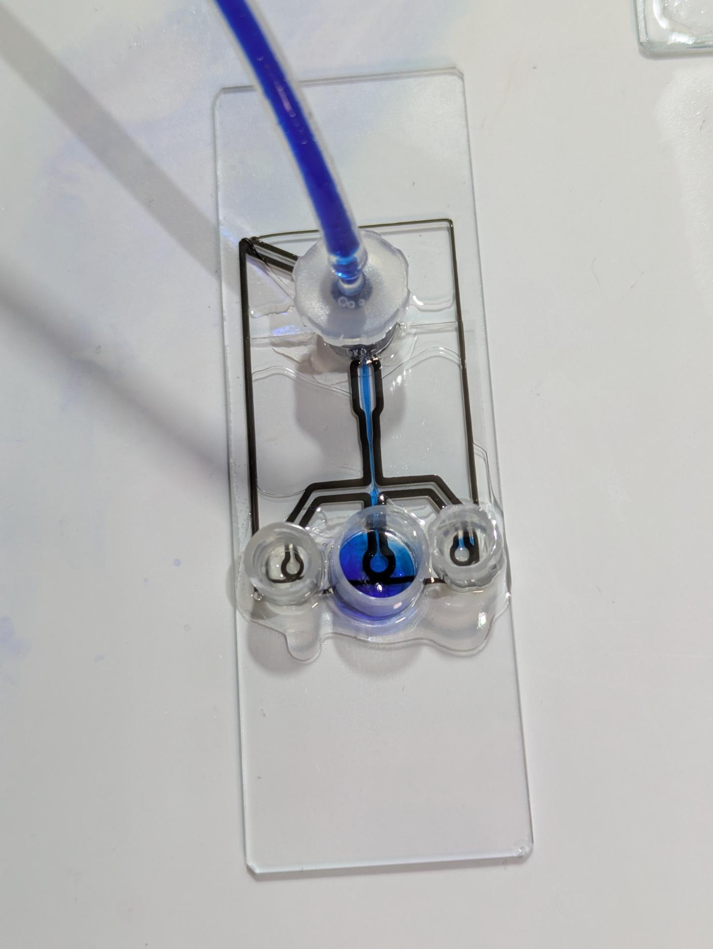 Water in oil doesn't dropet