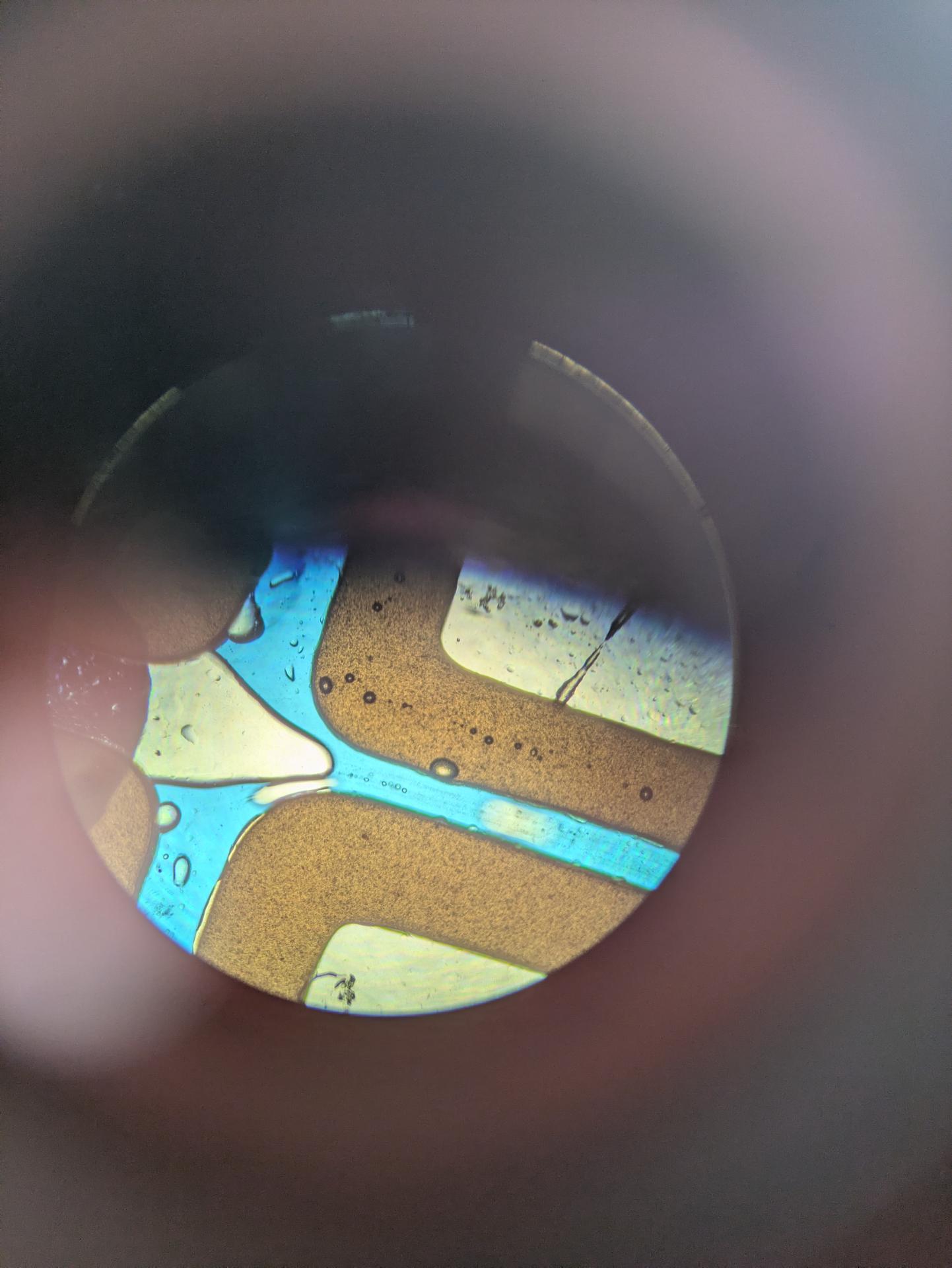 An oil in water droplet forms and zoots away, right, blurry