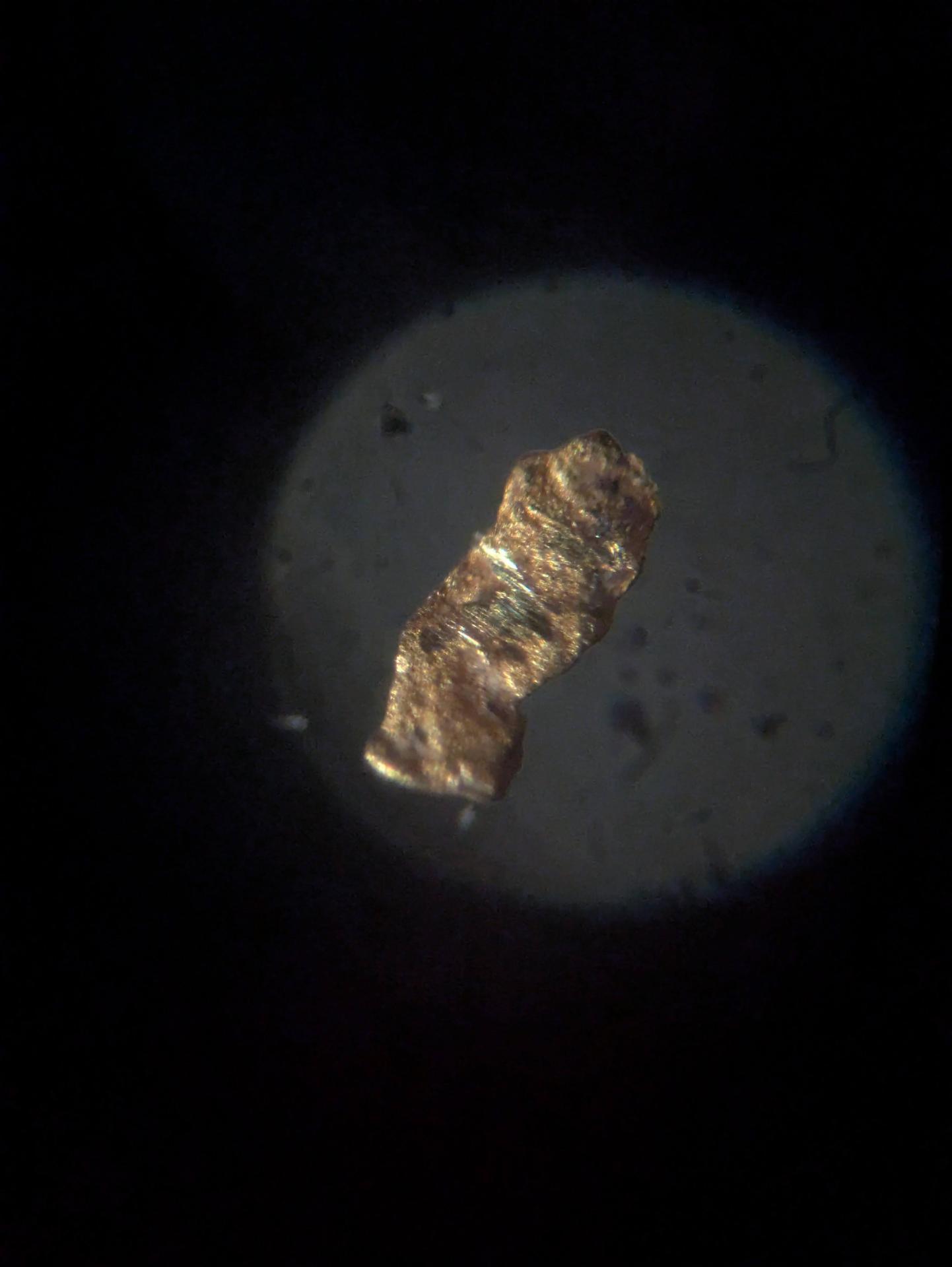 Experiment photo
