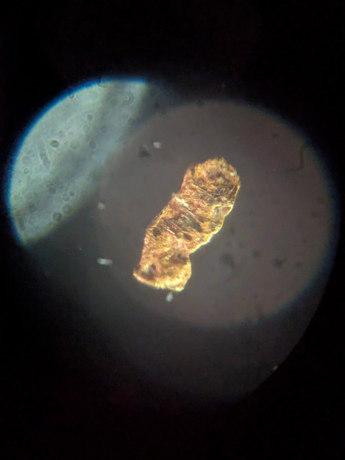 Experiment photo