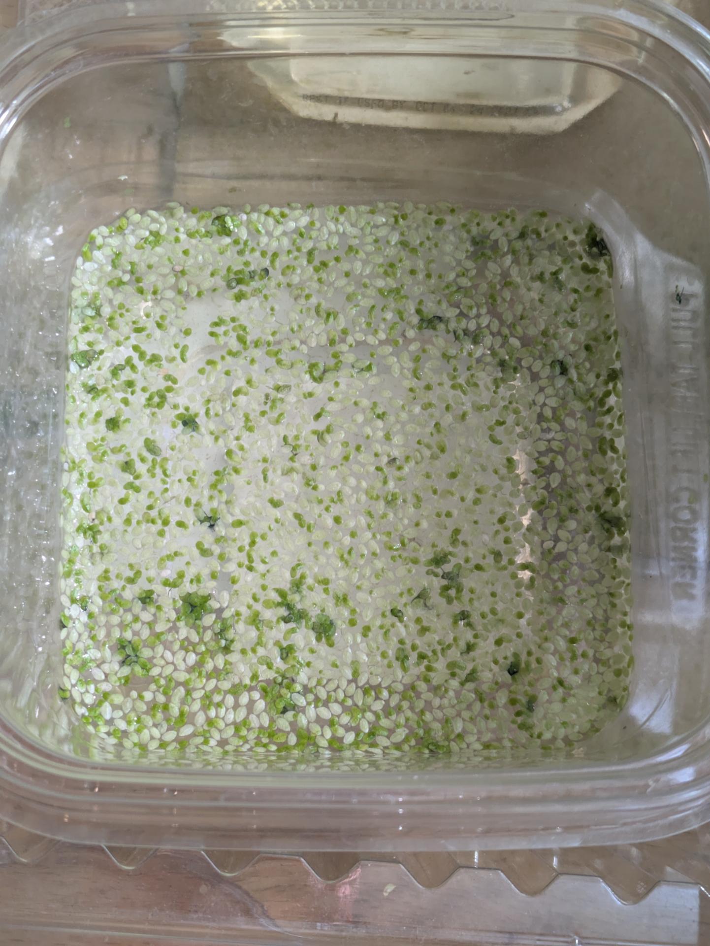 Experiment photo