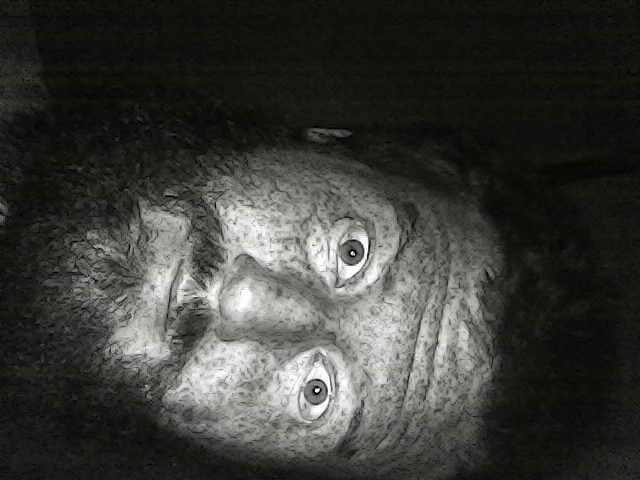Face