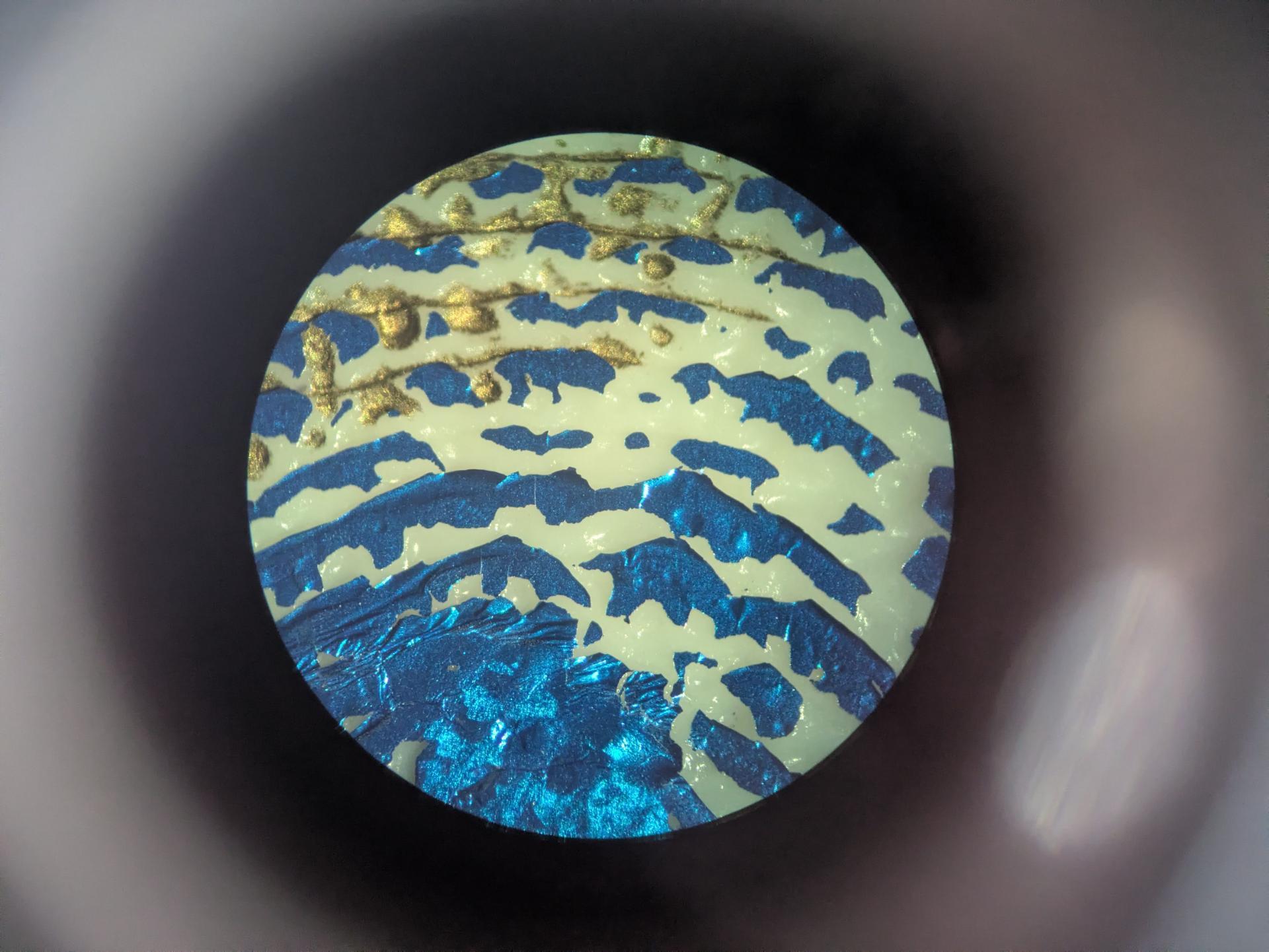 Experiment photo