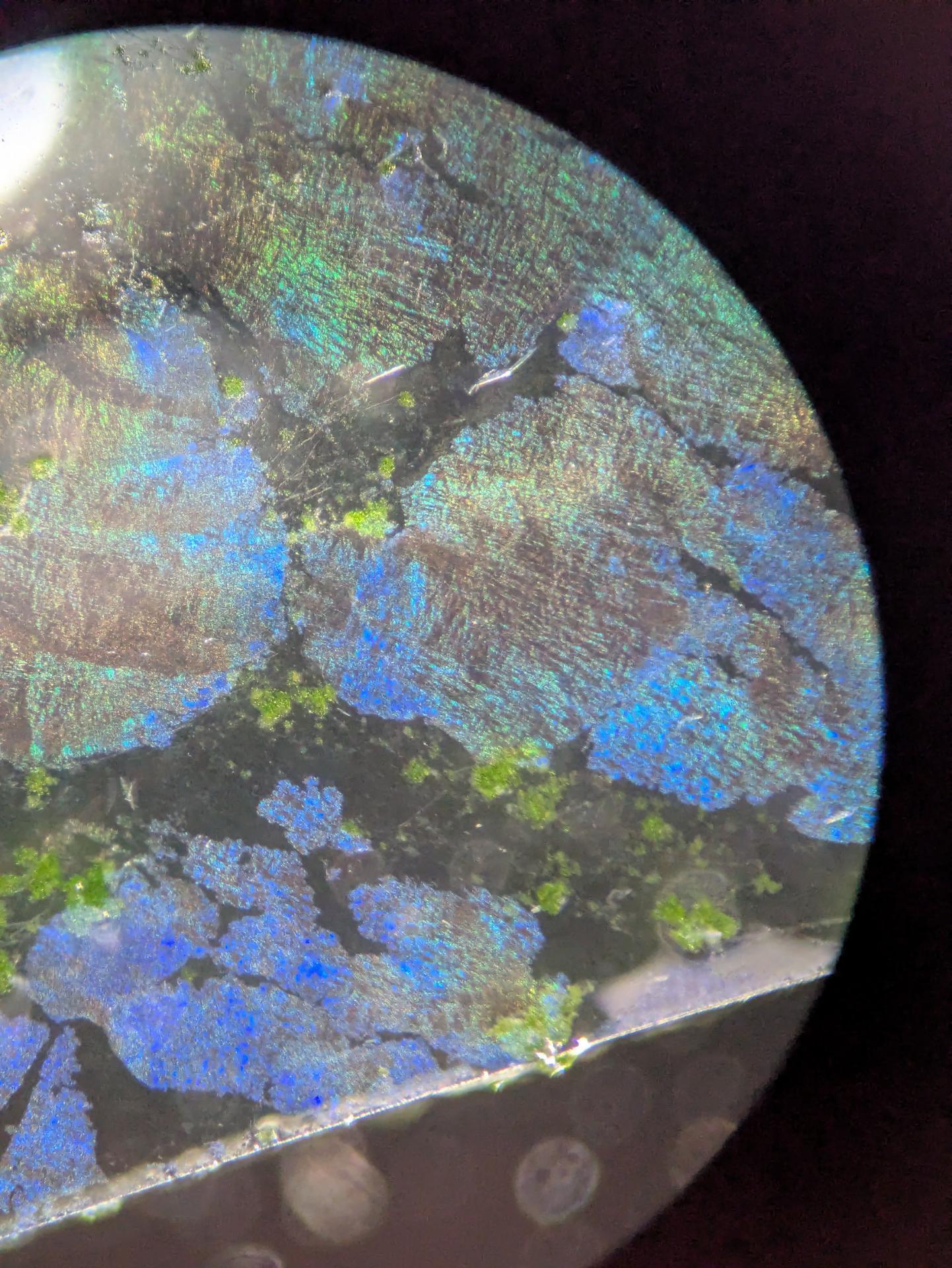 Experiment photo