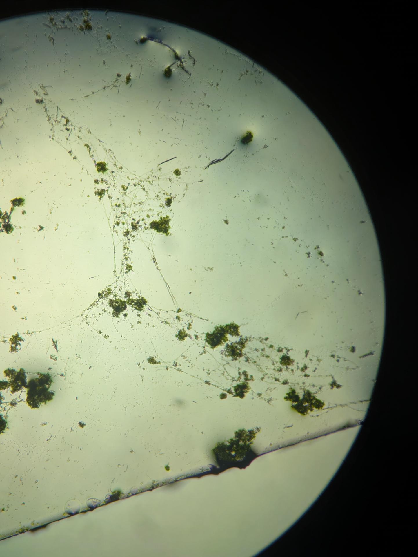 Experiment photo