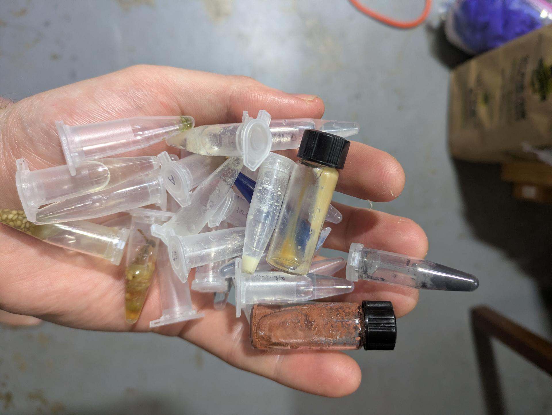 Noooo don't throw those away those are my emotional support misc vials...